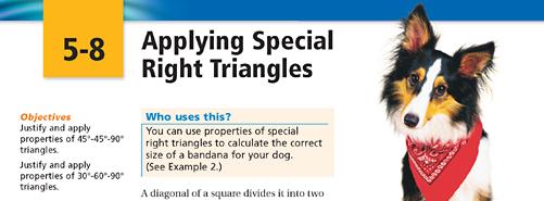 Textbook right triangle application prompt about calculating the correct size of a bandana for a dog